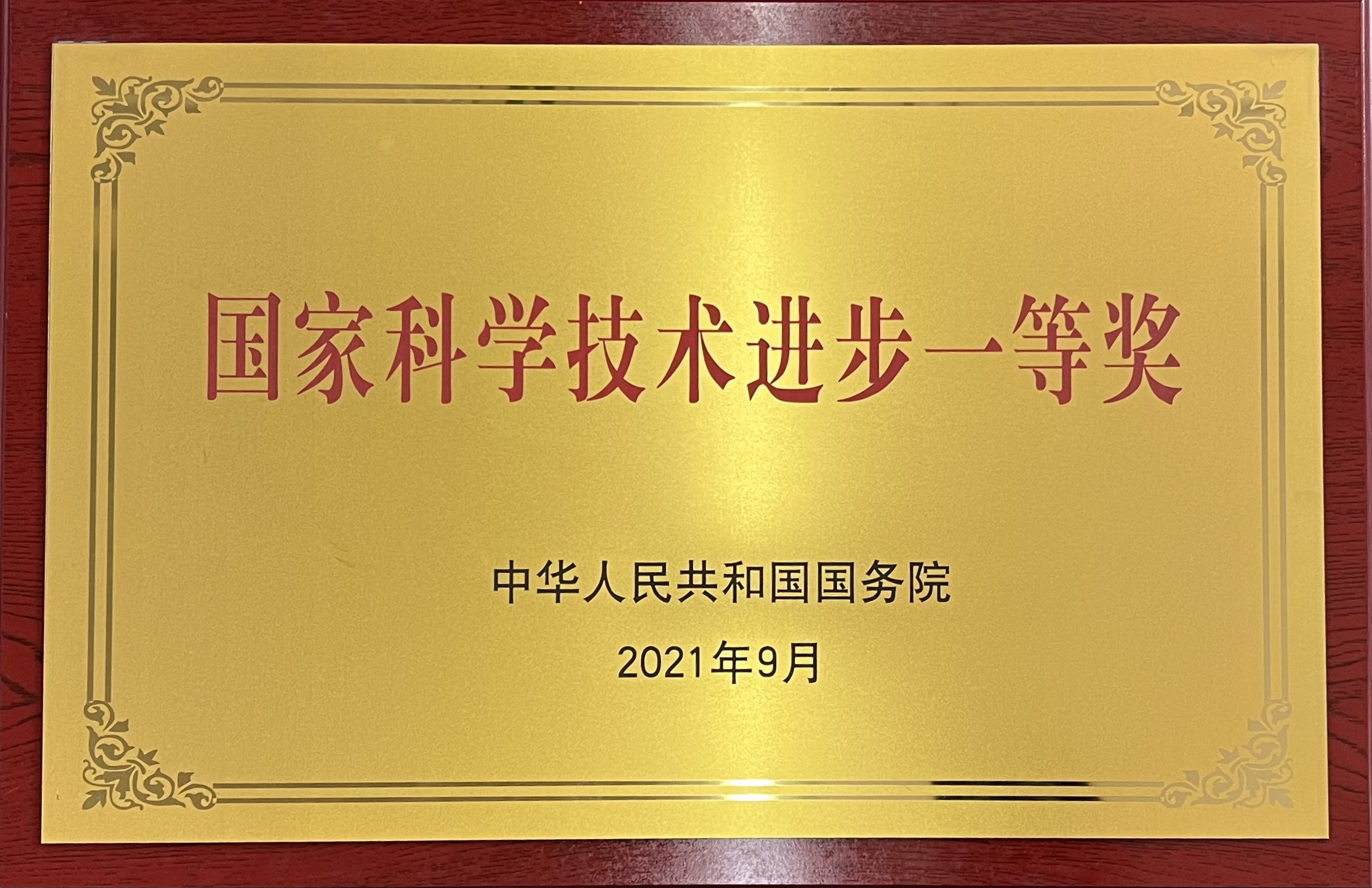 國(guó)家科學(xué)技術(shù)進(jìn)步獎(jiǎng)一等獎(jiǎng)